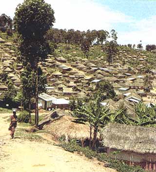 http://navy5532.com/africa_s3.jpg